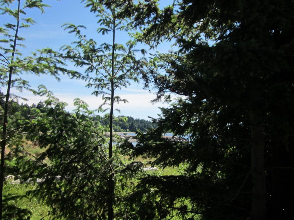 Oceanside Resort Powell River Eksteriør bilde